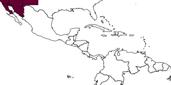 map of Anoplius californiae     Evans, 1948